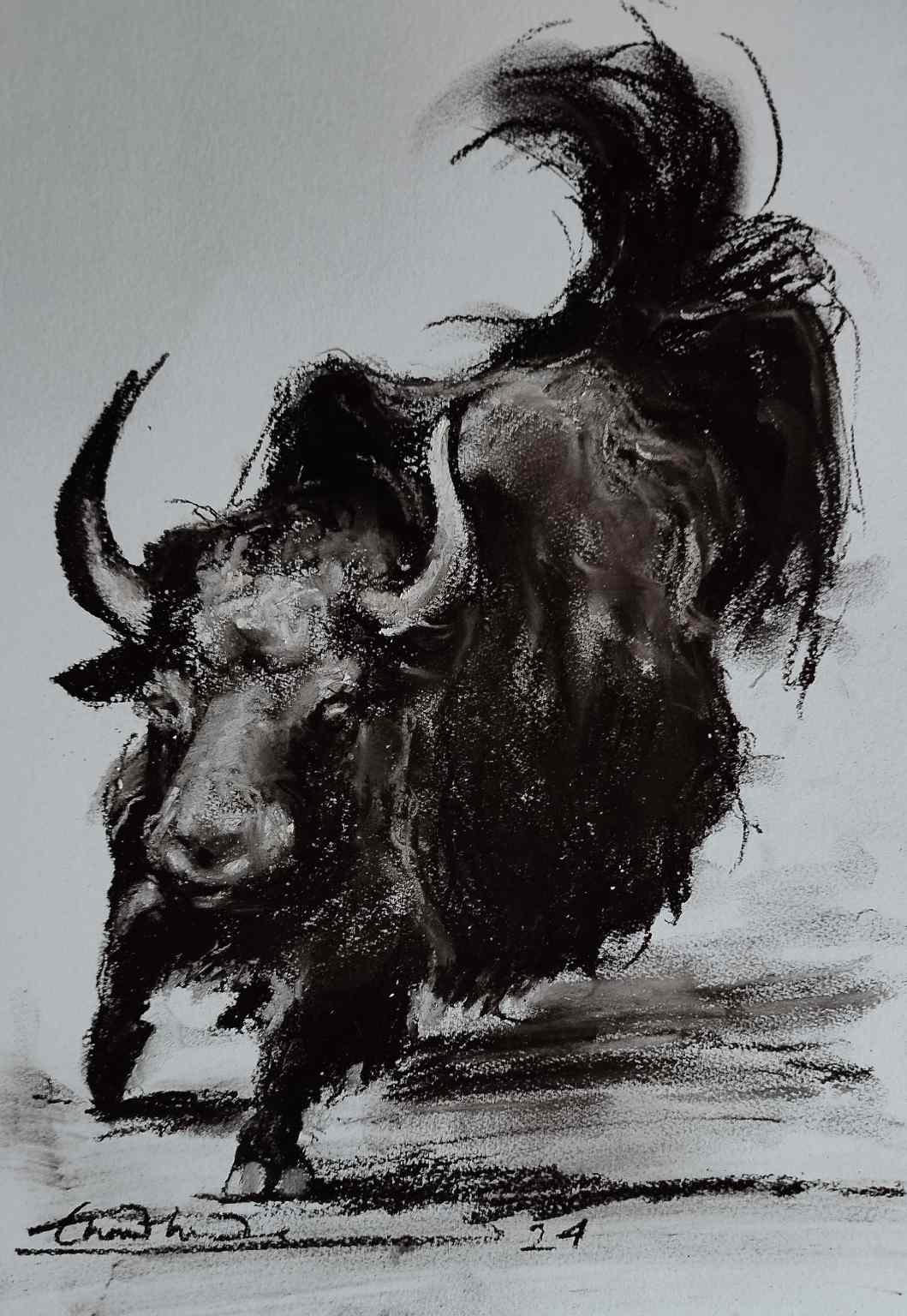 Himalayan Yak series