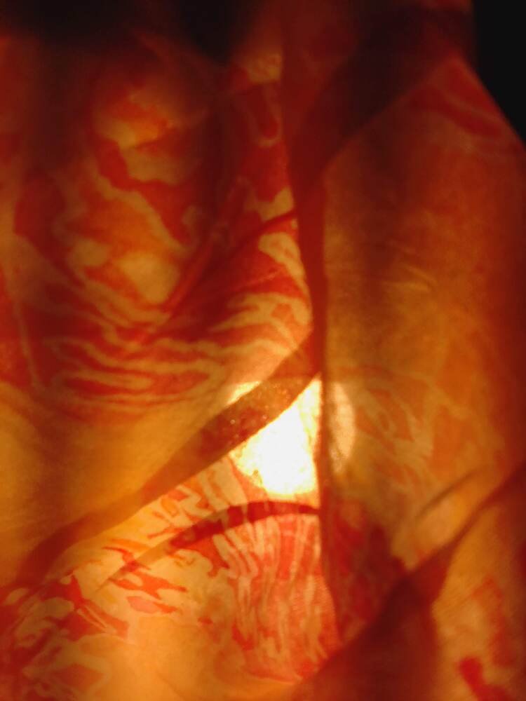 Velo 1