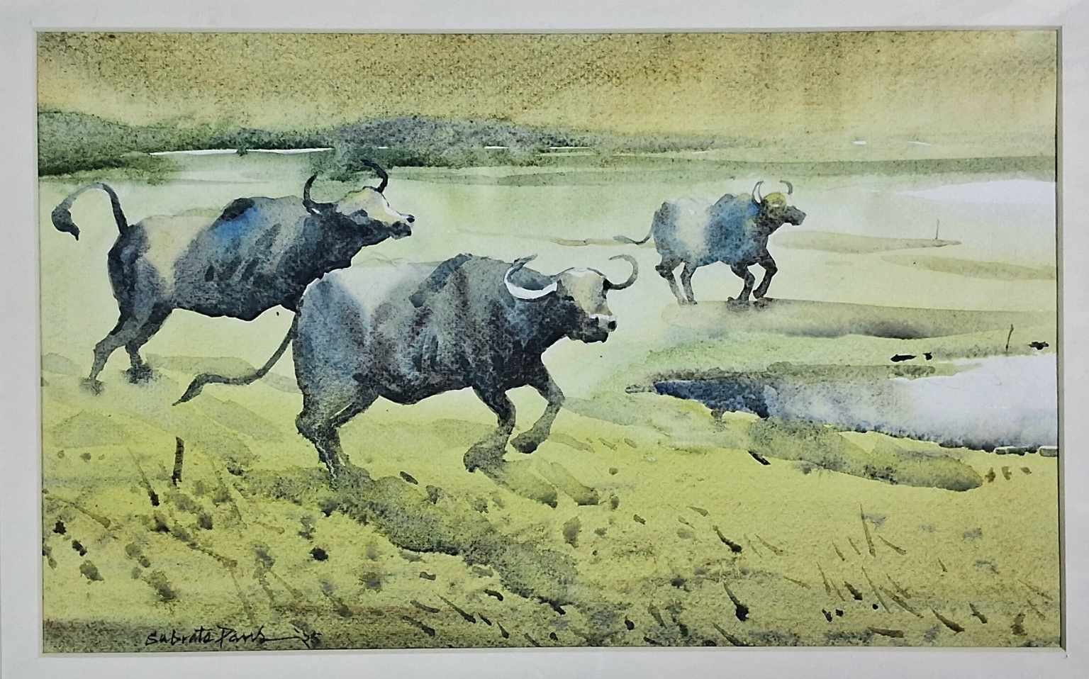 Bull