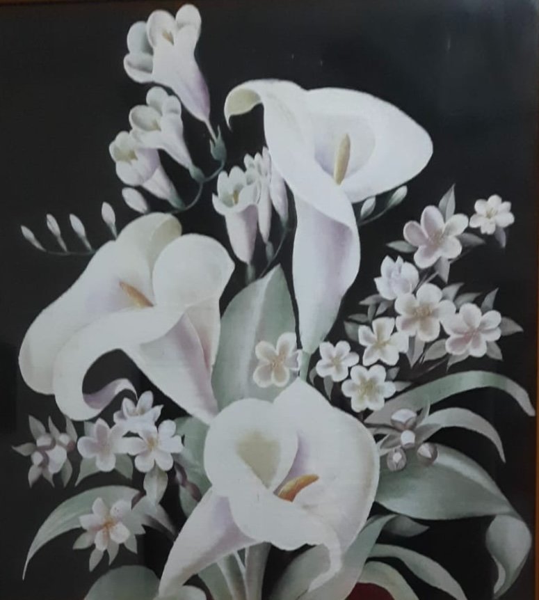 Elegant White Calla Lilies