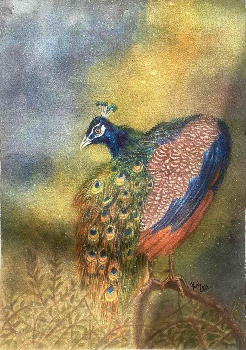 Peacock