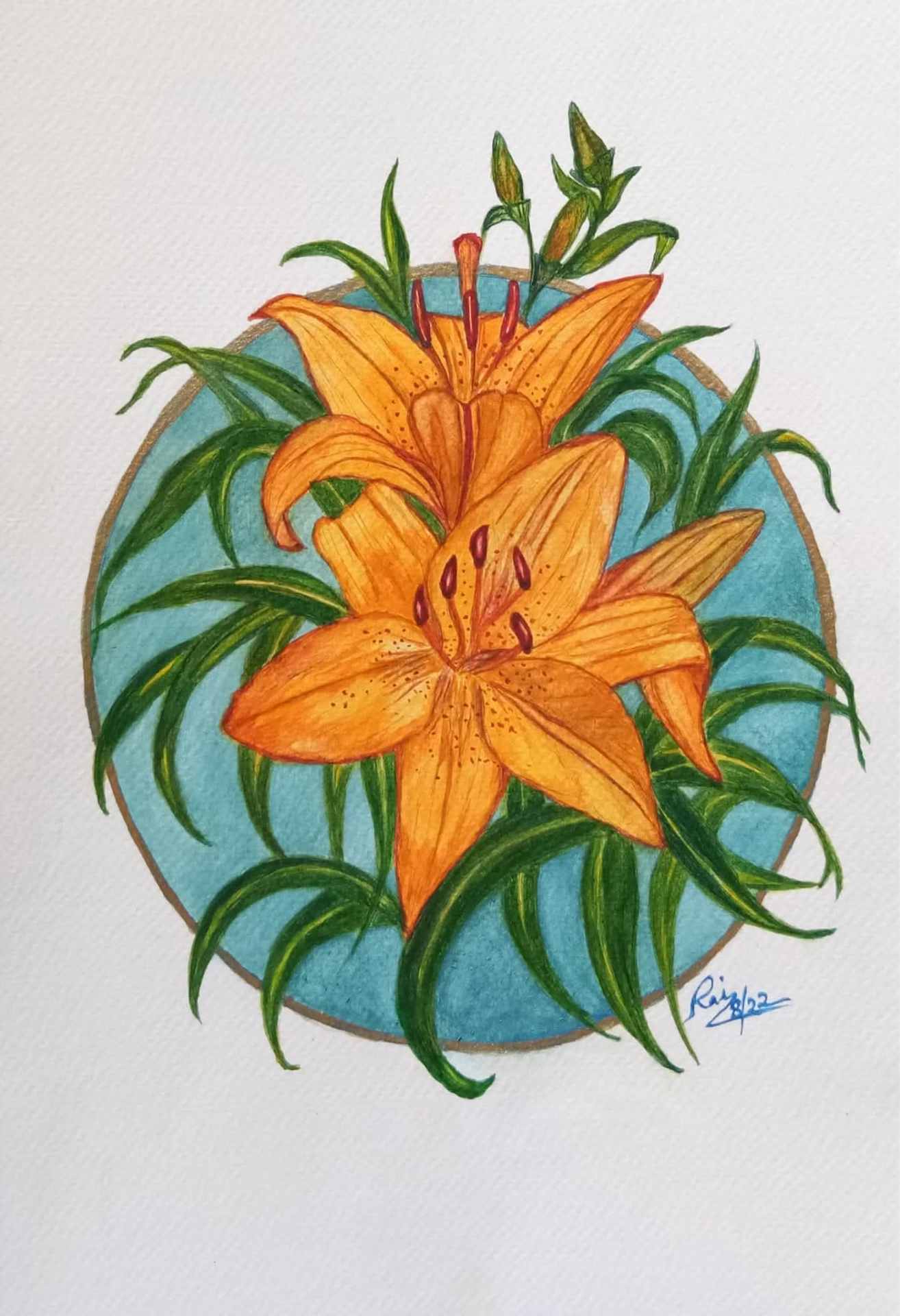 Blooming lilies.