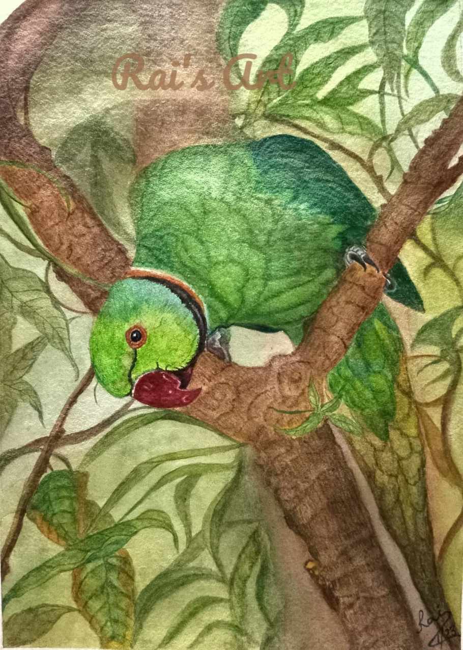 A Green Parrot sitting on twig