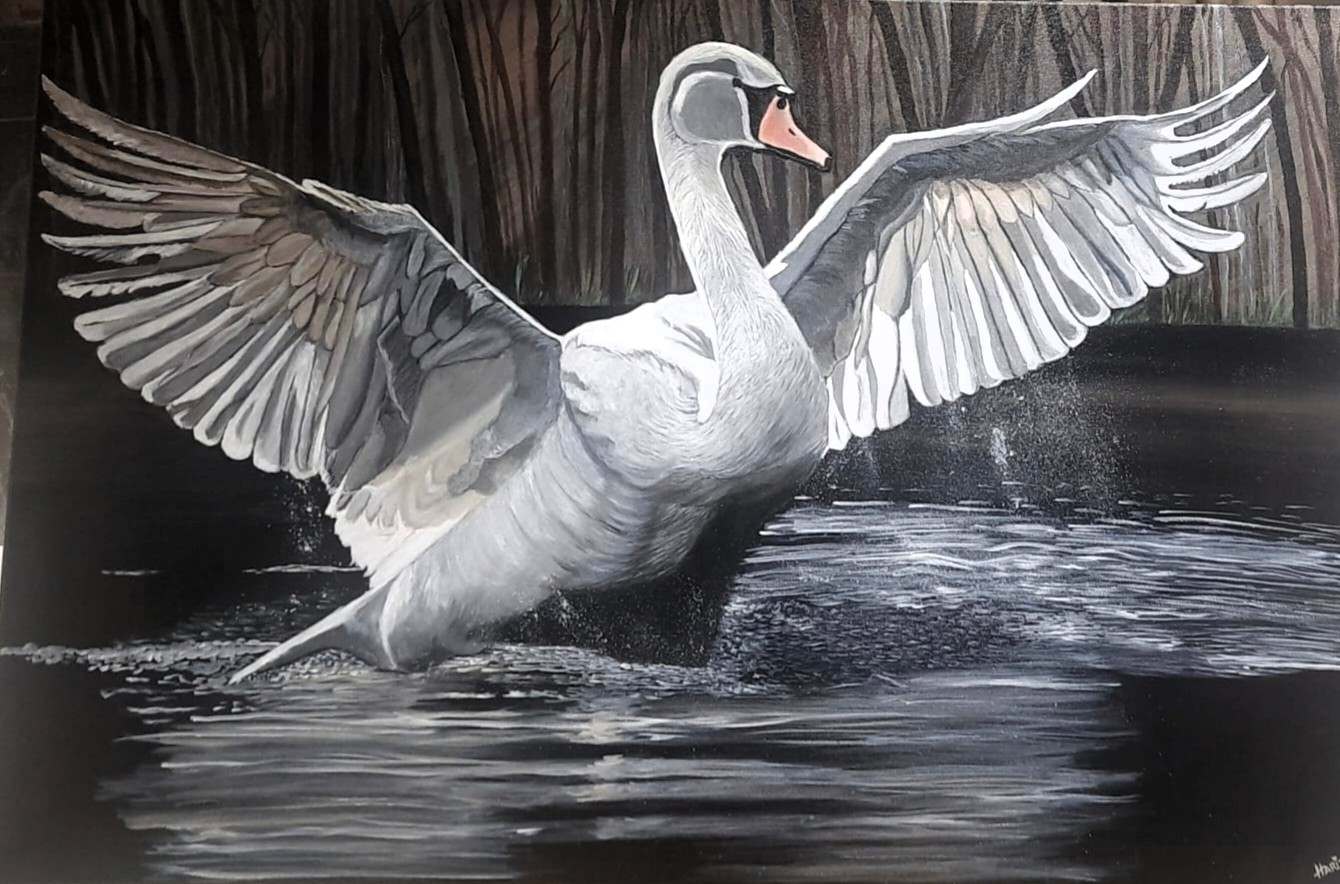 Majestic Swan – Original Acrylic Wildlife Painting on Canvas (24 x 36 Inches)