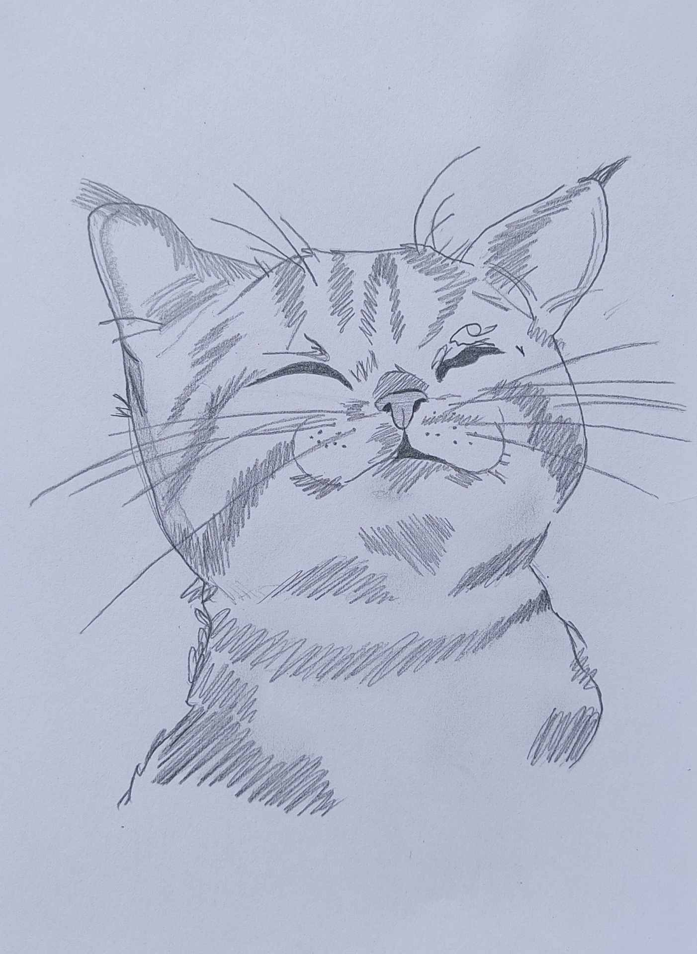 Whiskers of Joy