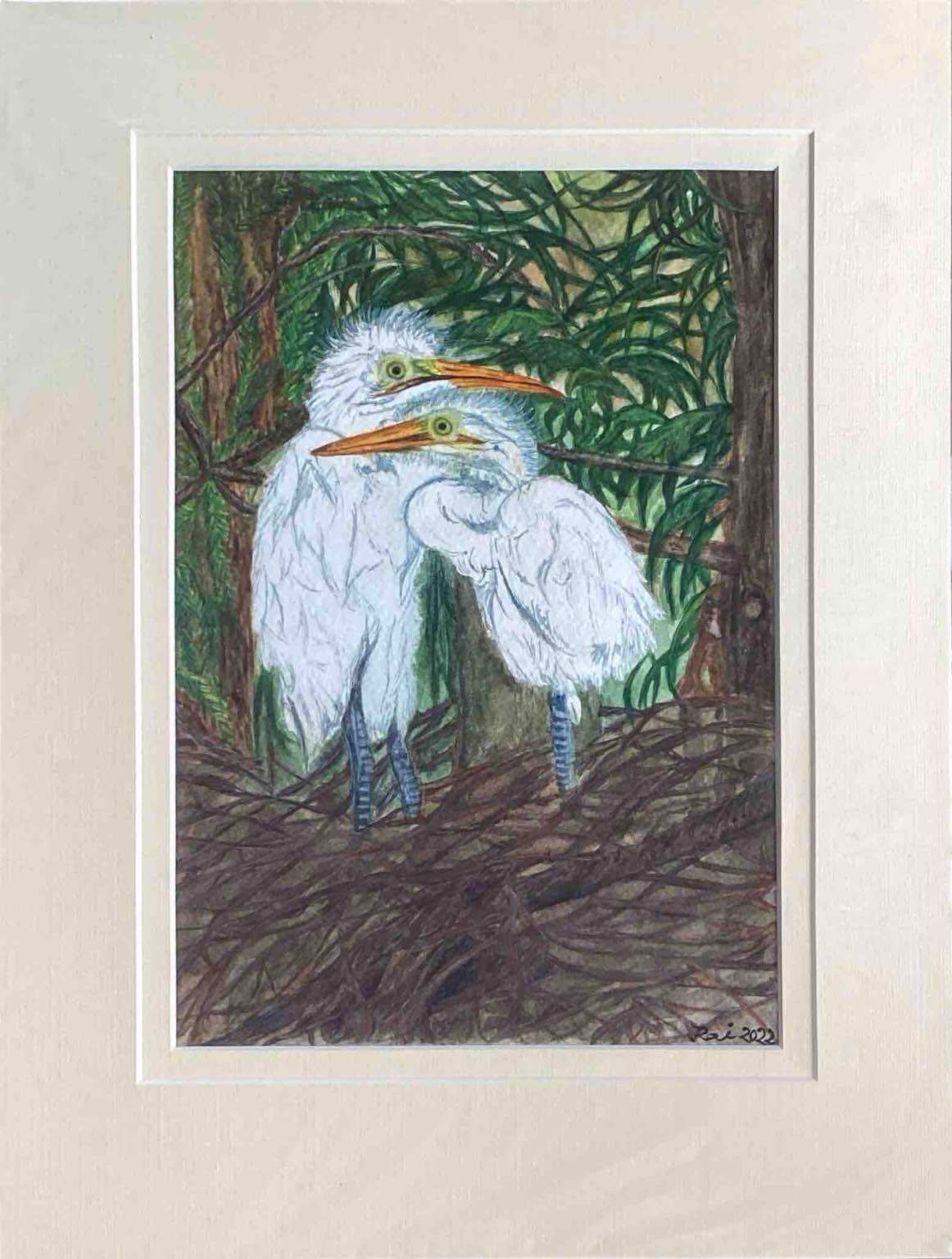 Egrets in marshy land.