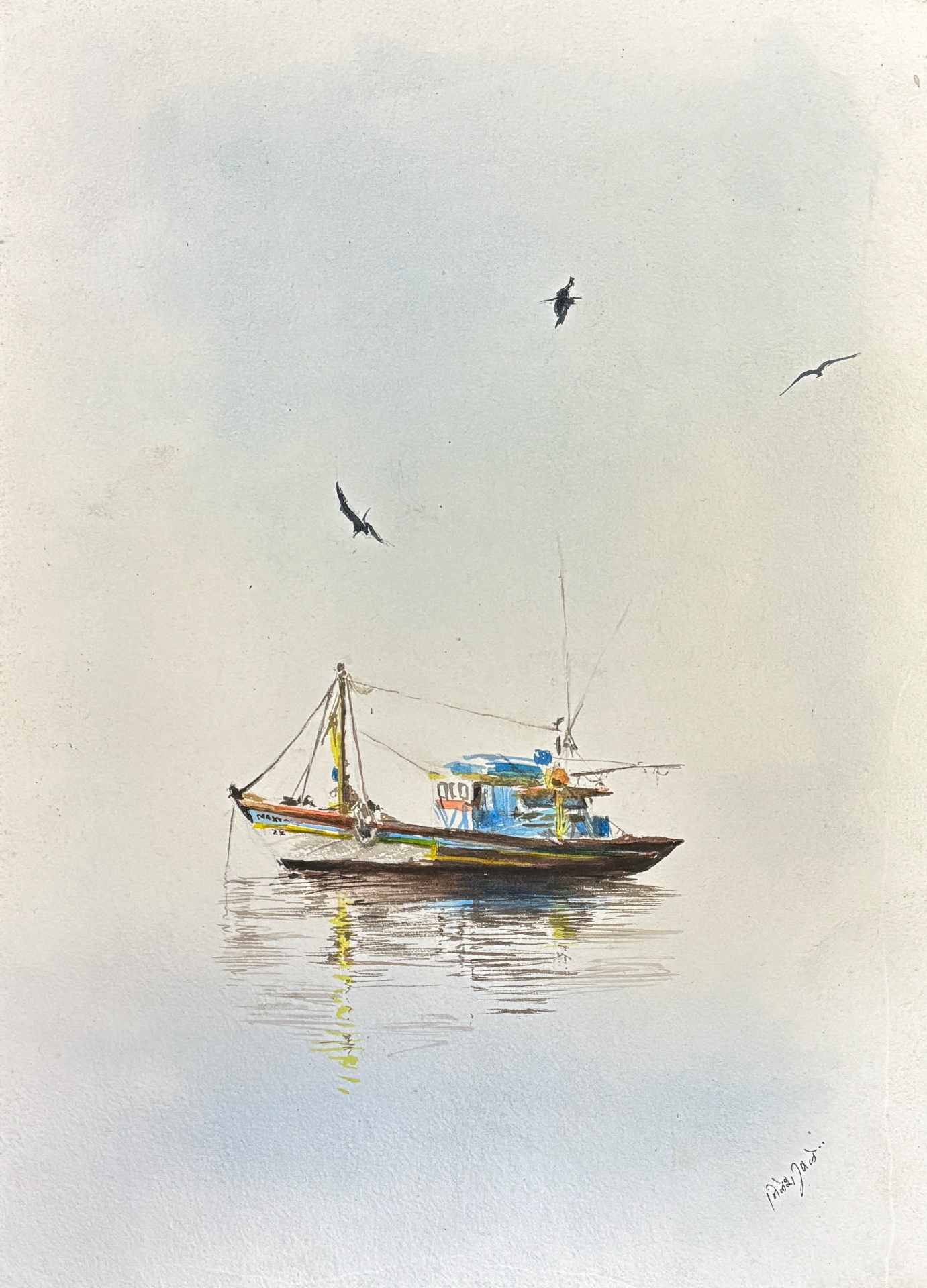 sea birds