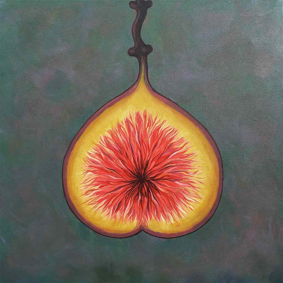 Fig fruit