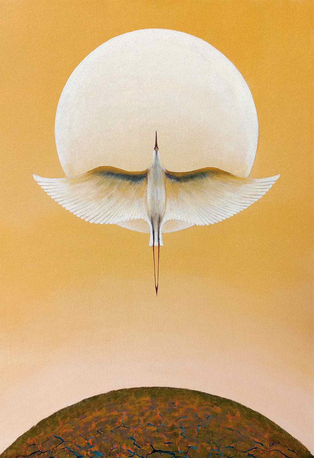 Flying high