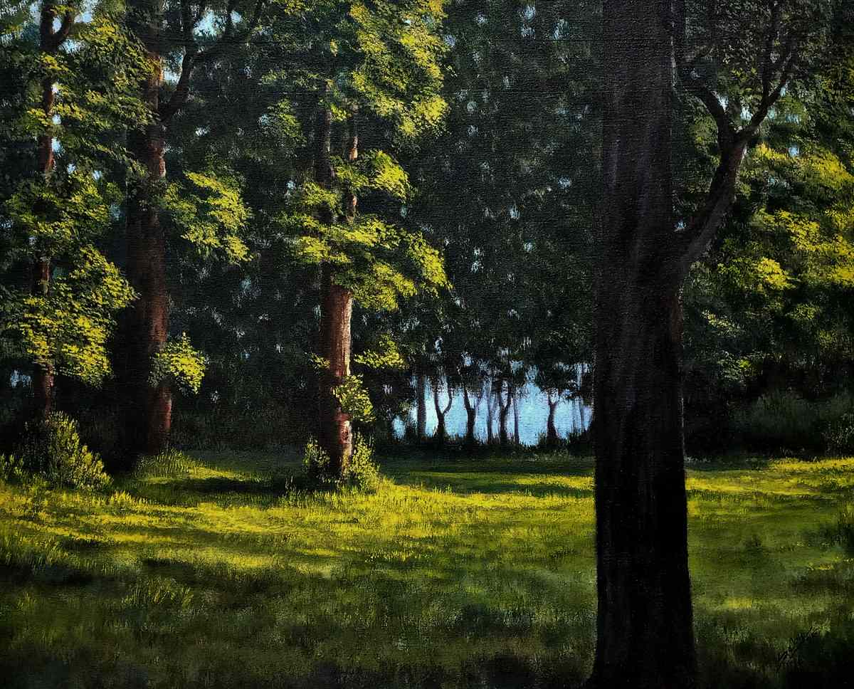 Morning Rays