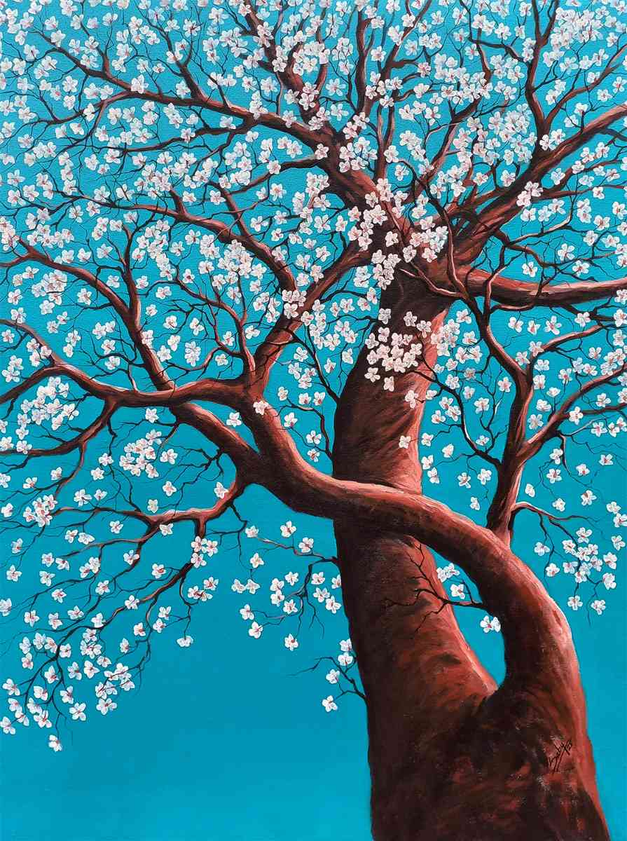 Blossom
