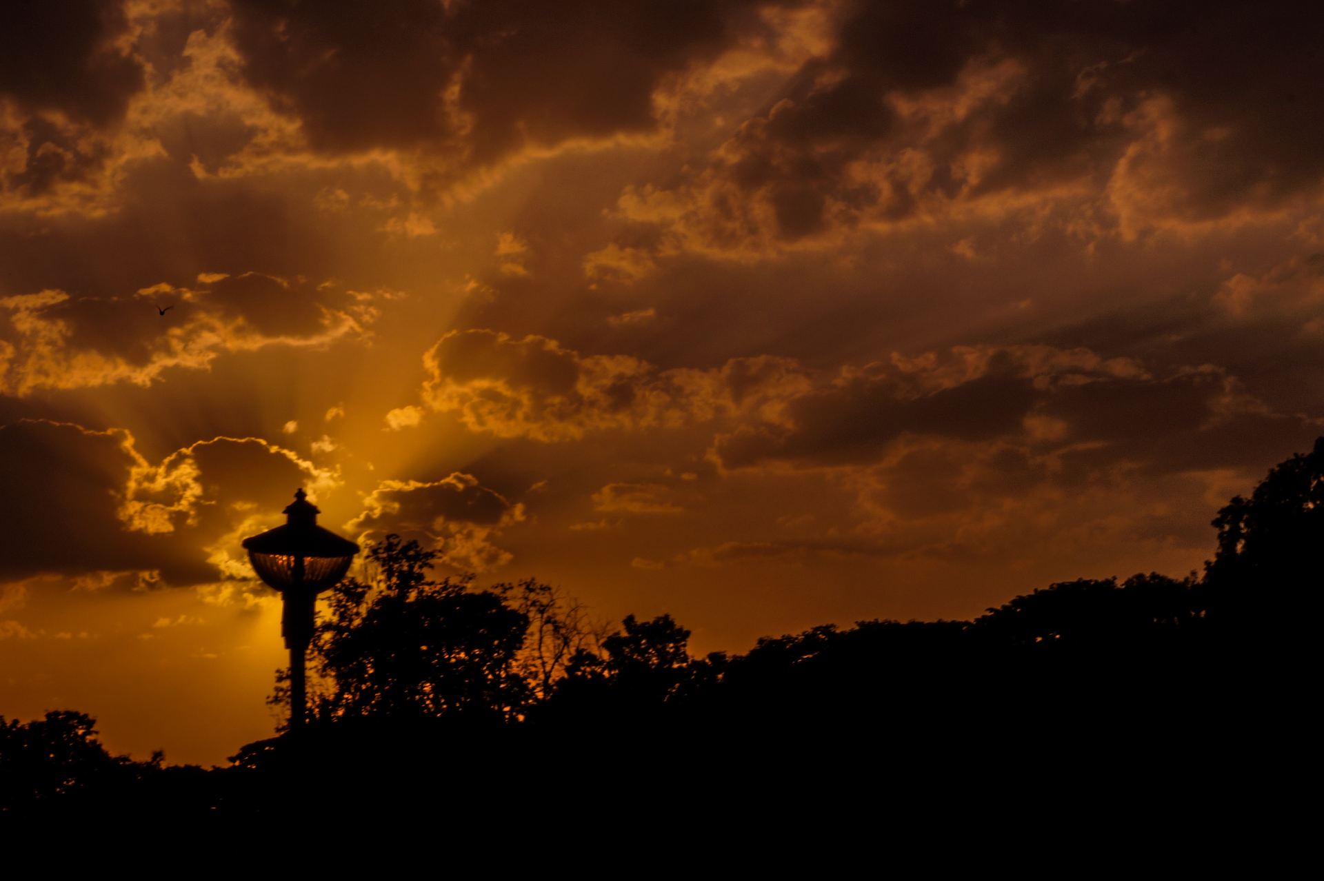 Golden Hour Radiance