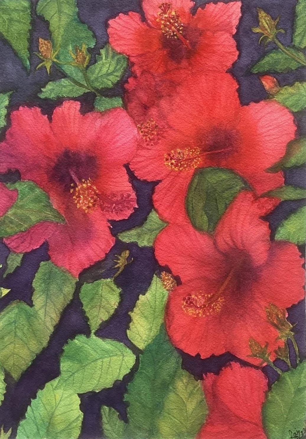 China Roses