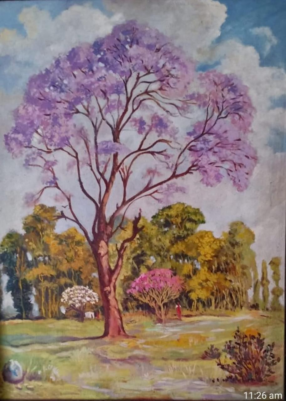 Neeli Gulmohar – Cubbon Park, Bengaluru